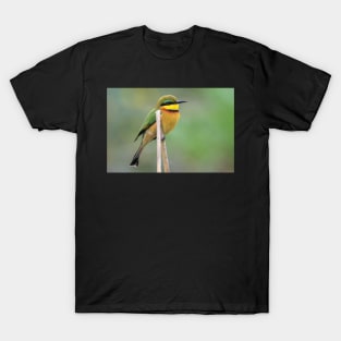 Little Bee-eater, Zambia T-Shirt